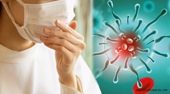 Prof. Dr. Selma Ateş, Koronavirüs ve Grip Arasındaki Farkı Anlattı 