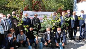 Andırın’da Ceviz Fidanı Dağıtım Töreni Düzenlendi