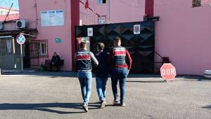 Kahramanmaraş’ta tünel fareleri yakalandı