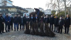 Sumak fidanı dağıtıldı...