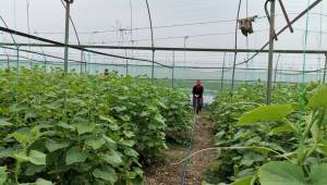 Kahramanmaraş’ta seraları zarar gören çiftçilere 18 milyon destek