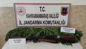 Evinde kenevir yetiştirdi gözaltına alındı