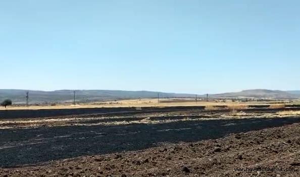 Kahramanmaraş’ta 8 dönüm buğday tarlası yandı