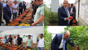 Vali Coşkun, Sera Hasat Şenliği Programına Katıldı