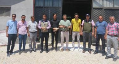 Hibe Desteği İle Faaliyete Geçen Hindi İşletmesi Ziyaret Edildi