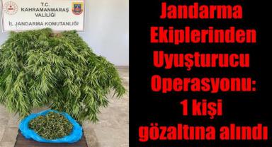 Jandarma Ekiplerinden Uyuşturucu Operasyonu: 1 kişi gözaltına alındı