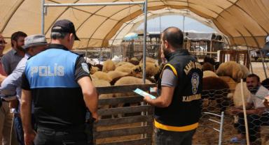 Kahramanmaraş’ta tüm tedbirler alındı 