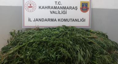 Kahramanmaraş’ta uyuşturucu operasyonu: 2 gözaltı