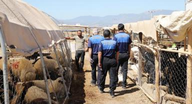 Zabıta Ekiplerinden Kurban Satış Yerlerinde Denetim