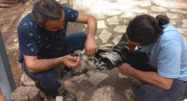 Başkan Okay: “Hayvanat Bahçemizin Sakinlerine Uzman Ekiplerimizle En İyi Şekilde Bakıyoruz” 