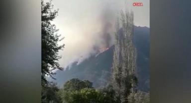 Osmaniye-Kahramanmaraş sınırında orman yangını..