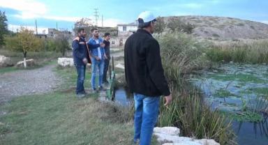 Kahramanmaraş’ta nilüfer çiçekleri tehdit altında