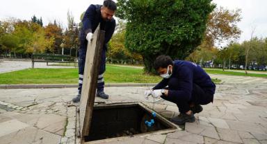 Şehrin muhtelif yerlerinde ilaçlama çalışmaları sürüyor