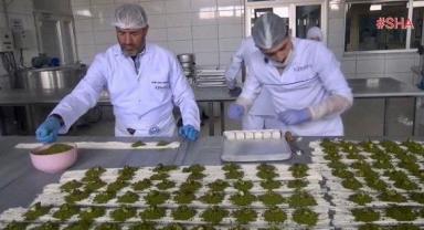 Dondurma külahıyla başlayan başarı hikayesi..