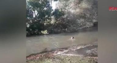 Serinlemek için girdiği suda hayatını kaybetti..