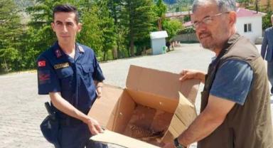 Yaralı kerkenez yavrusuna jandarma sahip çıktı..
