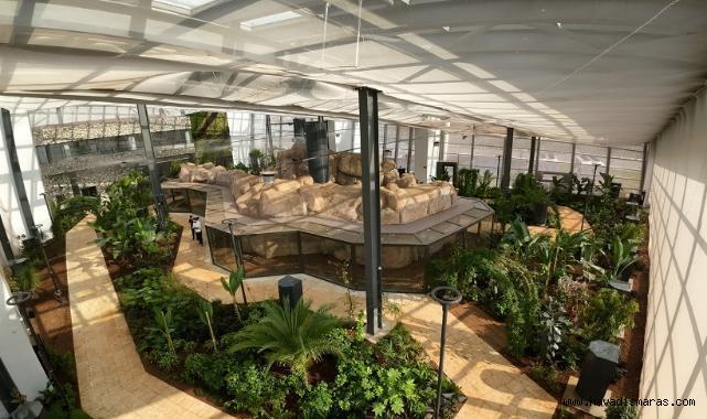 Kahramanmaraş’ın yeni cazibe merkezi; EXPO 2023 Kelebek ve Uğur Böceği Bahçesi..