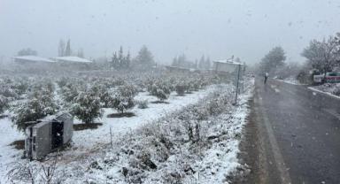 Yoldan çıkan otomobil takla attı: 1 yaralı..