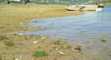 Kahramanmaraş’ta toplu balık ölümleri endişe veriyor ..