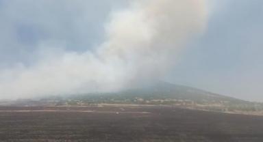 Pazarcık’ta orman yangını..