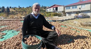 Kahramanmaraş’ta coğrafi tescilli ceviz ihracatı başladı..