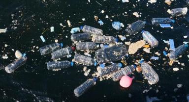 Doğayla Uyumlu Yaşamalıyız: Plastik Kirliliğine Son Ver, Yaşamı Koru!..