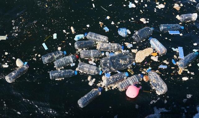 Doğayla Uyumlu Yaşamalıyız: Plastik Kirliliğine Son Ver, Yaşamı Koru!..