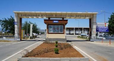 Hayvan Borsası’nda Hazırlıklar Tamamlandı..