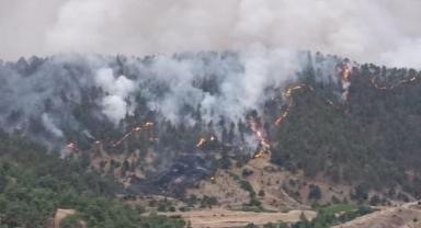Kahramanmaraş'ta Orman Yangını Kontrol Altında..