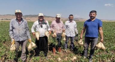 Depremzede çiftçiler pancar üretiminde devrim yaptı..