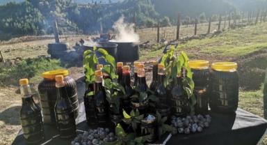 Andırın’da Tescilli Andız Pekmezi Üretimi Başladı..