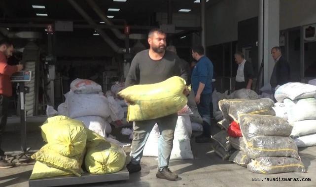 Kahramanmaraş’ta 5 Bin Ton Sızma Zeytinyağı Üretildi..
