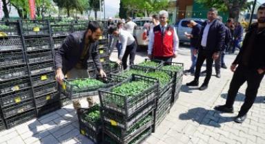 Büyükşehir'den Üreticiye 650 Bin Hibe Biber Fidesi 