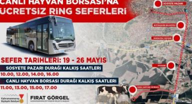 Canlı Hayvan Borsası’na Ücretsiz Ring Seferleri Başlıyor..