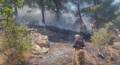 Kahramanmaraş’ta Ormanlık Alanda Çıkan Yangın Söndürüldü