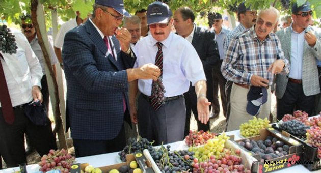 BİR HETİF TADINA BAK SAYIN VALİM..