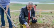 101 ZEYTİN FİDANI DİKİLDİ..