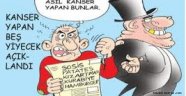 ANTİ KANSER ETKİSİ SAĞLAYAN 10 BESİN!