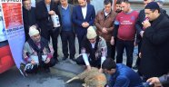AFŞİNDER ÇETELERİNDEN ÖRNEK BİR 12 ŞUBAT ETKİNLİĞİ...