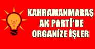 AK PARTİDE ORGANİZE İŞLER Mİ?
