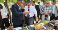 BİR HETİF TADINA BAK SAYIN VALİM..