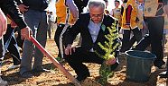 FAZLI AYDOĞAN FİDAN DİKTİ..