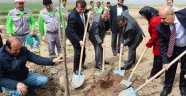 PİSLİKLERİN ÜZERİNE TOPRAK ATTILAR..